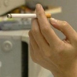 El tabaco 