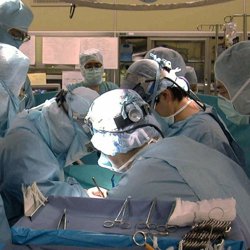 Se prepara la primera donación de órganos de un 