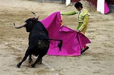 Foto de la Noticia