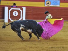 Foto de la Noticia