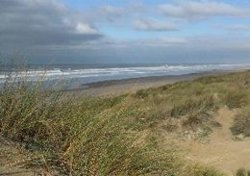 Ecologistas pide a la Junta de Andalucía que no recurra el deslinde de Doñana y que revise el estuario del Guadalquivir