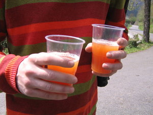 Foto: BOCADORADA/WIKIMEDIA COMMONS