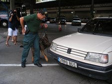 Foto de la Noticia