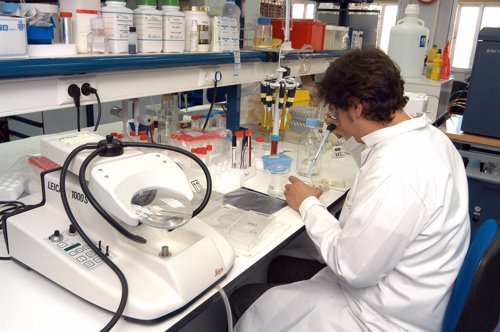 Más de 7 millones para la consolidación y estructuración de grupos de investigación