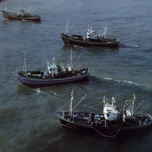 Las cofradías pedirán al nuevo Gobierno la derogación del reparto de cuota