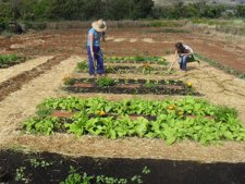 Huerta Ecológica