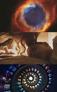 El Arbol De La Vida De Terrence Mallick