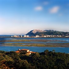 Playa Del Regatón