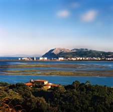 Playa Del Regatón
