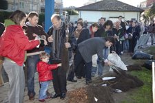 Entrega De Árboles