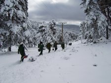 Nieve, Invierno