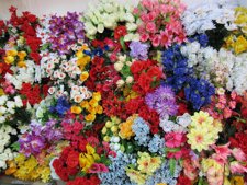 Flores