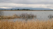 Tablas de Daimiel