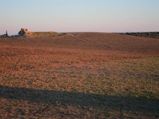 La Finca En Cuestión Con El Dolmen De La Pastora Al Fondo.