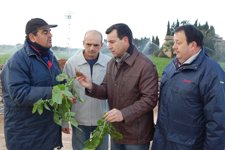 Conseller De Agricultura, Gabriel Company
