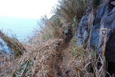 Limpieza Del Sendero De Los 500 Escalones