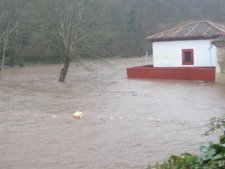 Aspecto Que Presenta El Río Linares Este Domingo