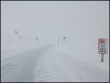Puerto De Belagua Durante Un Temporal De Frío Y Nieve.