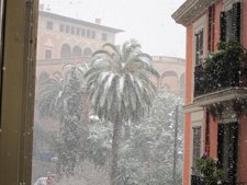 Palma Nevada, Nieve