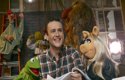 Havard premia a Jason Segel, actor de 'Los Muppets'