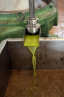 Aceite de Andalucía