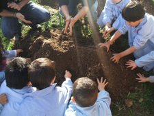 Taller Los Viveros