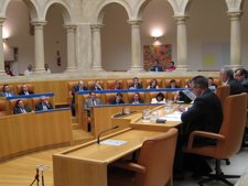 Pleno De La Cámara 