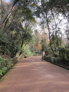 Jardines De La Alhambra