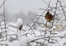 Temporal De Nieve, Frío, Viento Y Olas En España