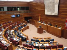 Pleno De Las Cortes