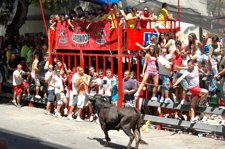 Toros