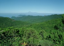 Parque Nacional De Garajonay