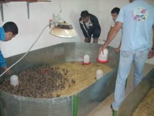 Granja