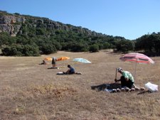 ANÁLISIS DEL SUELO EN EL OLIVAR ANDALUZ