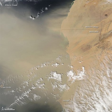 Desierto Del Sáhara
