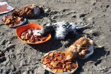Gallos Decapitados En Un Ritual De Santería