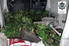 Foto: Encuentran 50 plantas de marihuana en una furgoneta estacionada en un centro comercial de Santander (POLICÍA LOCAL DE SANTANDER)