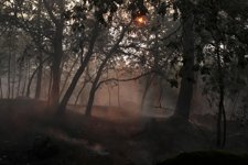 Incendio Forestal En Vilariño De Conso, Ourense (Galicia)