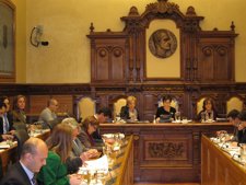 Pleno Del Ayuntamiento De Gijón 