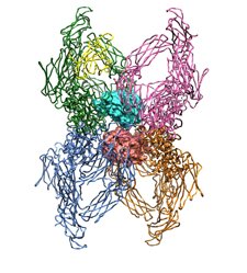 Cambios Estructurales Partícula Inhibidora Proteina