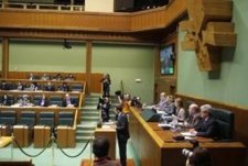 Pleno Control Del Parlamento Vasco
