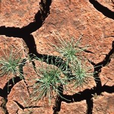 Tierra agrietada sequia recurso falta precipitaciones medioambiente