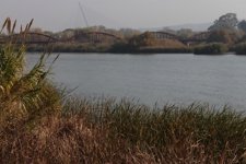 RIO TAJO , TALAVERA