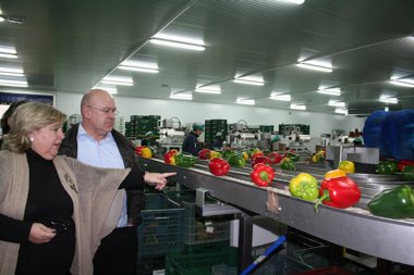 Foto: Aguilera tacha el acuerdo agrícola UE-Marruecos de "inmoral" (EUROPA PRESS/JUNTA DE ANDALUCÍA )