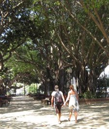 Una Pareja Pasea Por Un Parque De Alicante