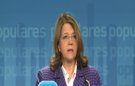 PP: "La reforma se ha dedicado a dar soluciones"