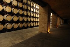 Instalaciones Bodegas Luzón