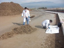 Investigadores Del Ctaer.