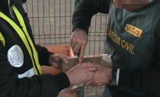 Operación Fado Con Detenidos En Galicia
