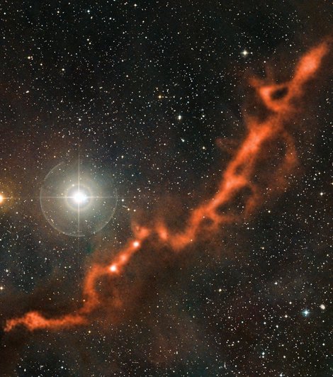 Galaxias